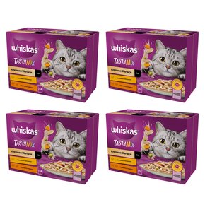 Karma dla kota WHISKAS Tasty Mix Kremowe Wariacje Mix smaków 48 x 85 g