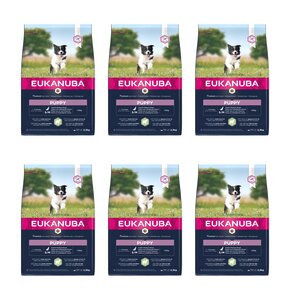Karma dla psa EUKANUBA Puppy Small & Medium Breeds Jagnięcina z ryżem 6 x 2.5 kg
