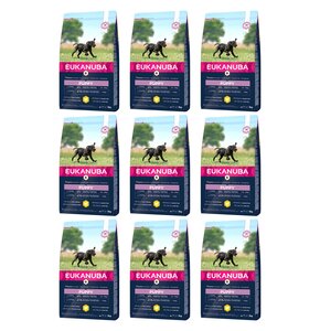 Karma dla psa EUKANUBA Puppy Large Breeds Kurczak 9 x 3 kg