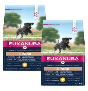 Karma dla psa EUKANUBA Junior Large Breeds Kurczak 2 x 3 kg