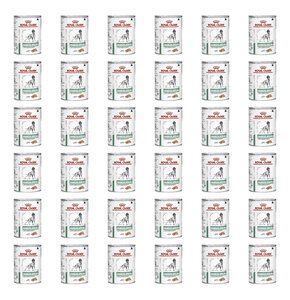 Karma dla psa ROYAL CANIN Diabetic Special Low Carbohydrate 36 x 410 g