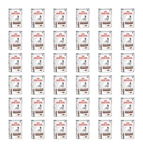 Karma dla psa ROYAL CANIN Gastrointestinal 36 x 400 g