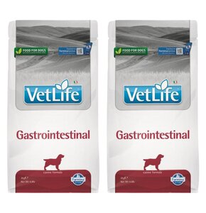 Karma dla psa FARMINA Vet Life Gastroasntestinal 2 x 2 kg