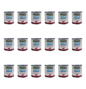 Karma dla psa FARMINA Vet Life Gastrointestinal 18 x 300 g
