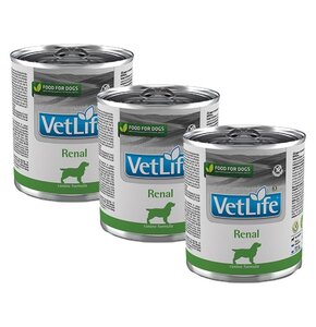 Karma dla psa FARMINA Vet Life Canine Renal 3 x 300 g