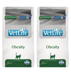 Karma dla kota FARMINA Vet Life Obesity 2 x 2 kg