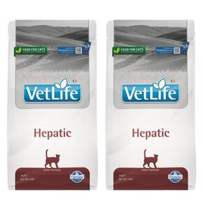 Karma dla kota FARMINA Vet Life Hepatic 2 x 2 kg