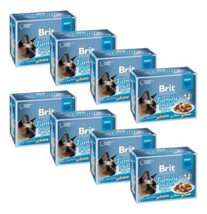 Karma dla kota BRIT Cat Gravy Fillet Family Plate Mix smaków (96 x 85 g)