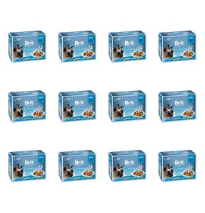 Karma dla kota BRIT Premium Family Plate Mix smaków (144 x 85 g)