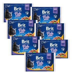Karma dla kota BRIT Premium Łosoś z pstrągiem w sosie 28 x 100 g