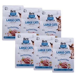 Karma dla kota BRIT Care Large Cats Power and Vitality Świeża Kaczka i Kurczak 6 x 400 g