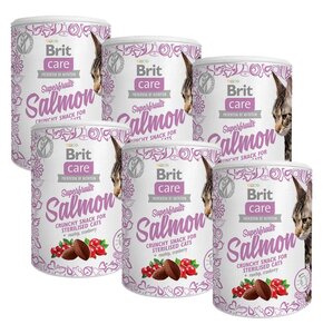 Przysmak dla kota BRIT CARE Snack Superfruits Salmon 6 x 100 g