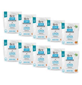 Karma dla psa BRIT CARE Dog Grain-Free Junior Large Breed Łosoś i ziemniaki 10 x 1 kg
