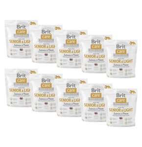 Karma dla psa BRIT CARE Dog Grain-Free Senior & Light Łosoś i ziemniak 10 x 1 kg