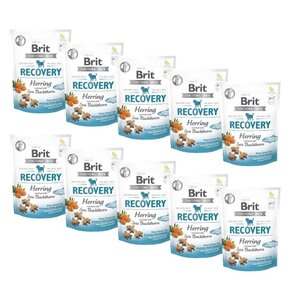 Przysmak dla psa BRIT CARE Dog Recovery Herring 10 x 150 g