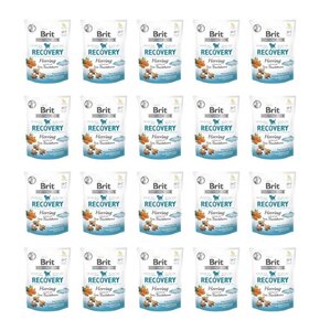 Przysmak dla psa BRIT CARE Dog Recovery Herring 20 x 150 g
