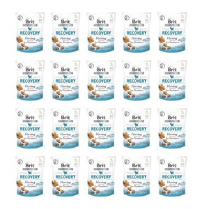 Przysmak dla psa BRIT CARE Dog Recovery Herring 20 x 150 g