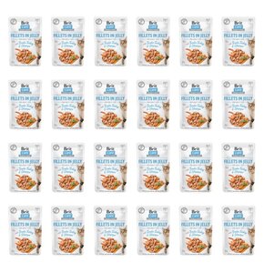Karma dla kota BRIT CARE Fillets In Jelly Tender Turkey&Shrimps 24 x 85 g