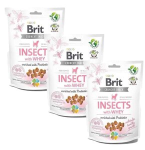 Przysmak dla psa BRIT CARE Dog Puppy Insects 3 x 200 g