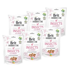 Przysmak dla psa BRIT CARE Dog Puppy Insects 6 x 200 g
