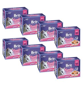 Karma dla kota BRIT Pouch Jelly Fillet Family Plate Mix smaków (96 x 85 g)