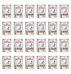 Karma dla psa ROYAL CANIN Gastrointestinal Low Fat 24 x 420 g