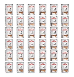 Karma dla psa ROYAL CANIN Gastrointestinal Low Fat 36 x 420 g
