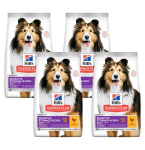 Karma dla psa HILL'S Science Plan Adult Sensitive Stomach & Skin Kurczak 4 x 2.5 kg
