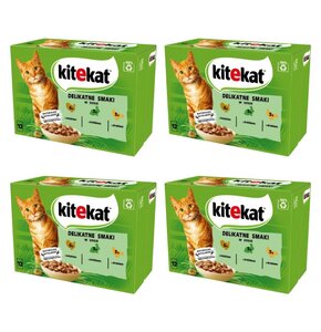 Karma dla kota KITEKAT Pou Delikatne Smaki 48 x 85 g