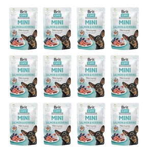 Karma dla kota PURINA PRO PLAN Healthy Start Kitten Kurczak 12 x 1.5 kg