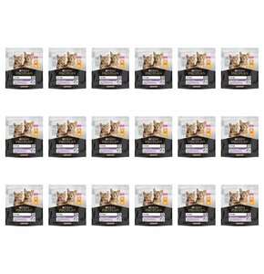 Karma dla kota PURINA PRO PLAN Healthy Start Kitten Kurczak 18 x 1.5 kg