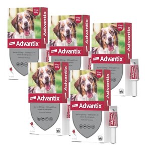 Krople na pchły i kleszcze BAYER Advantix Spot-on Średnie psy (10-25 kg) 20 x 2.5 ml