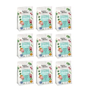 Karma dla psa suszona DOLINA NOTECI Premium dla małych ras z cielęciną i perliczką 9 x 3 kg