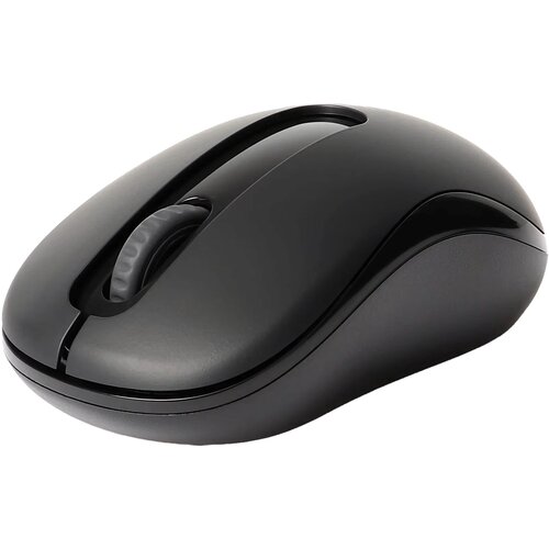 Mysz RAPOO M10 Plus Czarny