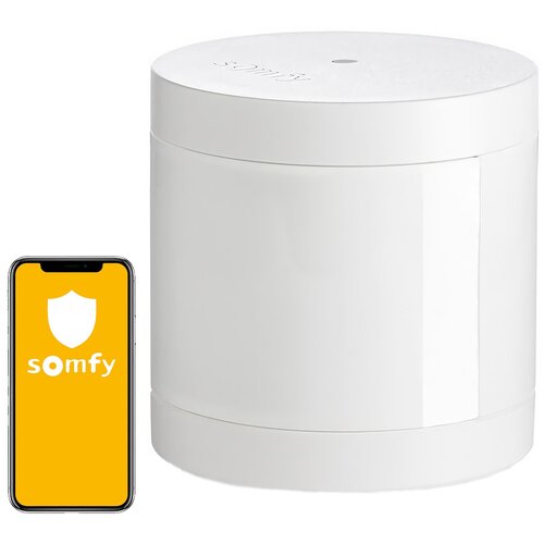 Czujnik ruchu SOMFY Protect 1870385