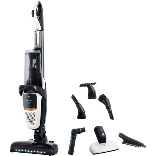 Odkurzacz ELECTROLUX Pure F9 PF91-ALRGY