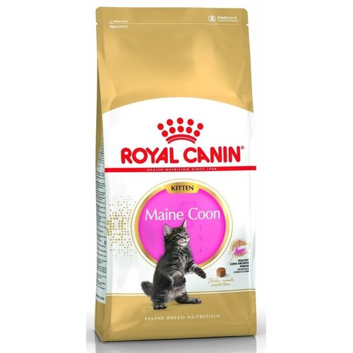 Karma dla kota ROYAL CANIN Kitten Maine Coon 4 kg