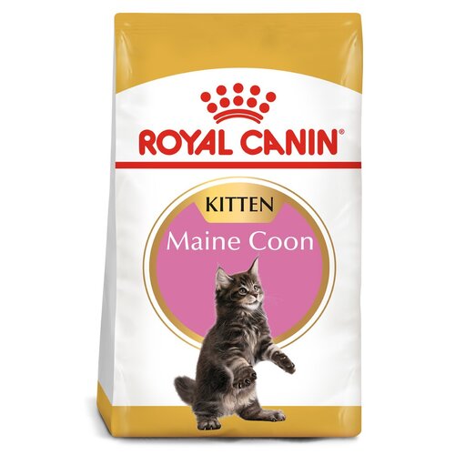 Royal canin maine coon kitten 10 kg cheap