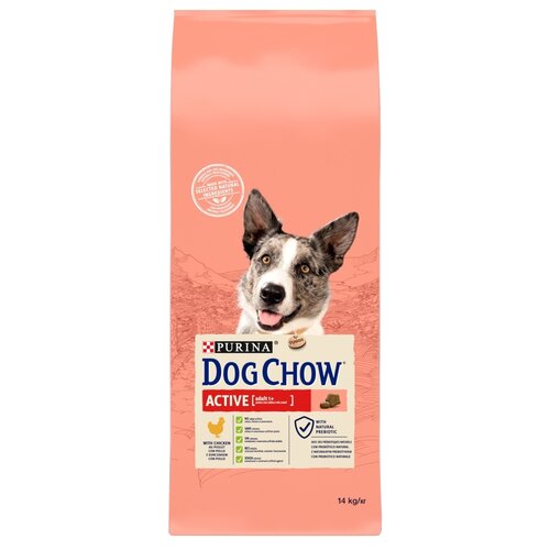 Karma dla psa PURINA Dog Chow Active z Kurczakiem 14 kg