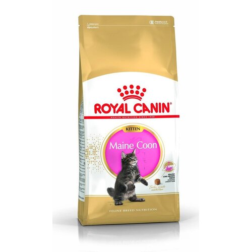 Karma dla kota ROYAL CANIN Kitten Maine Coon 2 kg