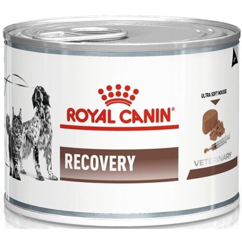 Karma dla psów i kotów ROYAL CANIN Recovery 195 g