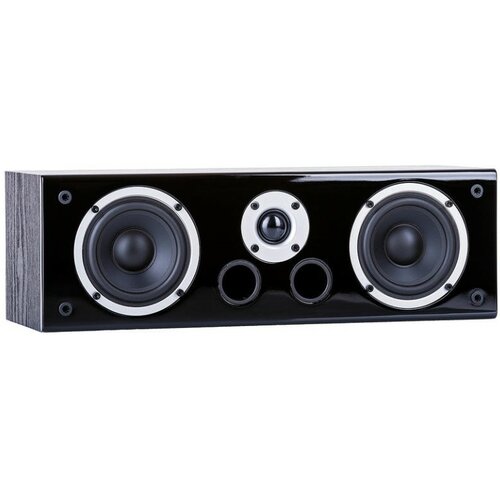 Głośnik centralny WILSON Raptor Vocal Czarny (1 szt.)