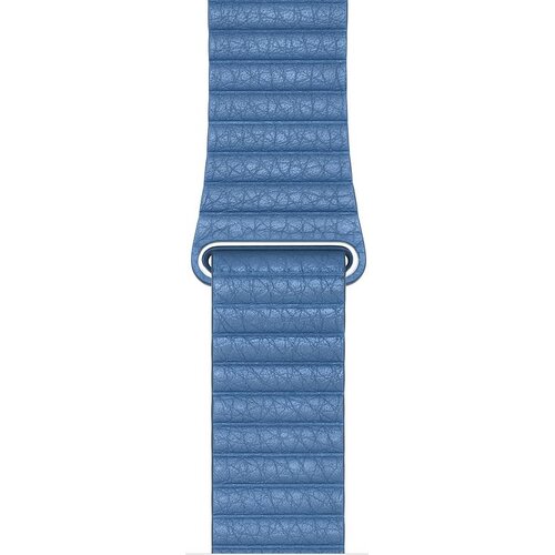 Pasek APPLE do Watch (42/44mm) Chabrowy