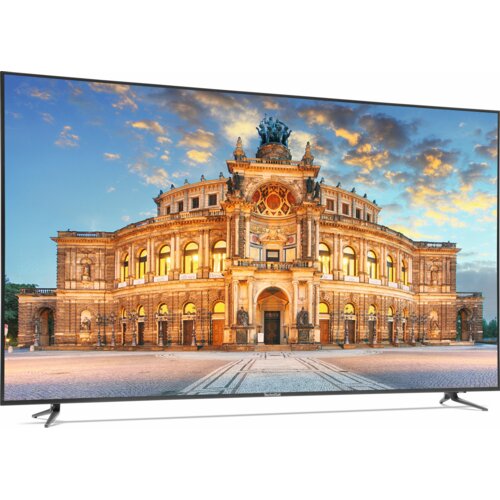 Telewizor TECHNISAT Technivista 5565/9810 65" LED 4K DVB-T2/HEVC/H.265