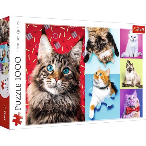 Puzzle TREFL Premium Quality: Wesołe koty 10591 (1000 elementów)