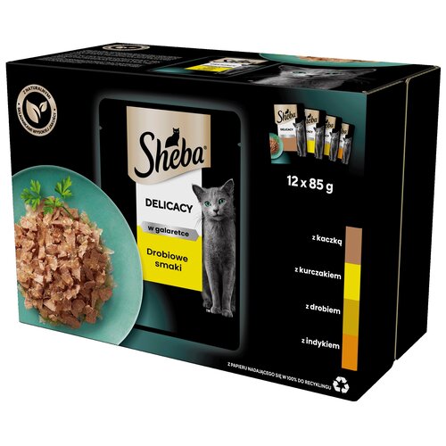 Karma dla kota SHEBA Delicacy in Jelly Smaki Drobiowe 12 x 85 g