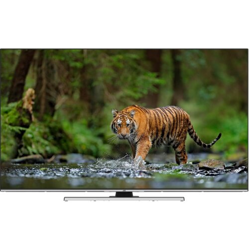 Telewizor JVC LT55VU8000 55" LED 4K Dolby Vision
