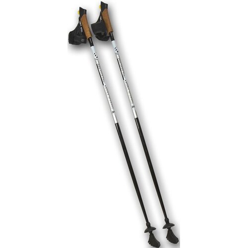 Kijki do nordic walking BEST SPORTING 512804