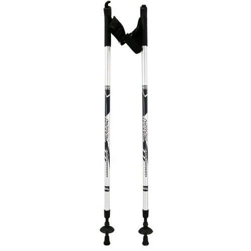 Kijki trekkingowe BEST SPORTING 512293 (84 - 140 cm) Czarno-srebrny