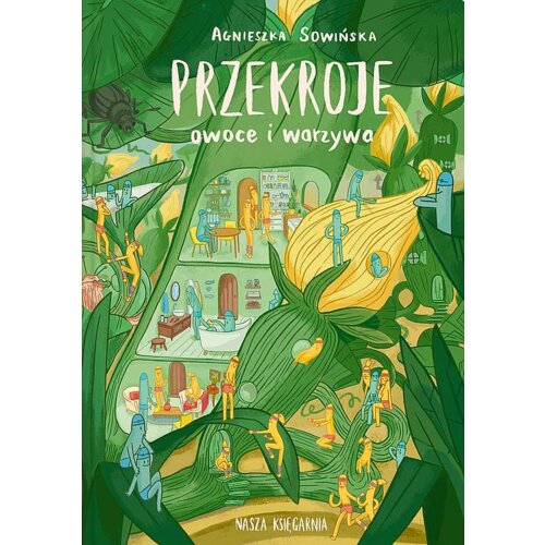 Przekroje: owoce i warzywa